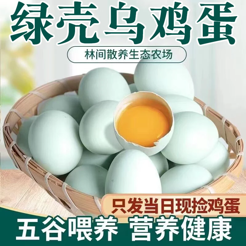 【新鲜现捡】到手50枚农家散养绿壳乌鸡蛋绿皮蛋 新鲜土鸡蛋笨鸡蛋