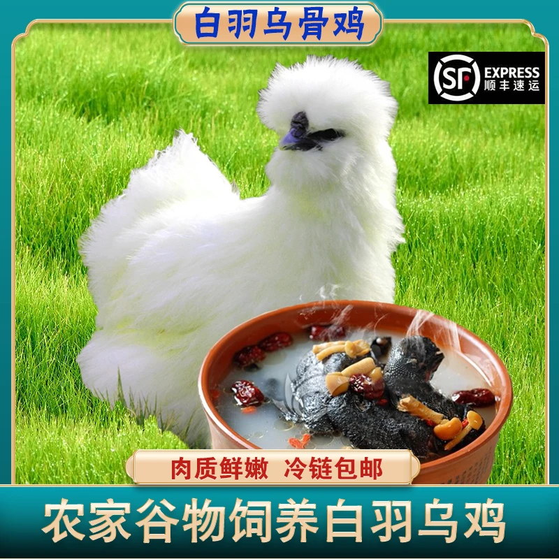 农村生态散养白凤乌鸡 白羽鸡 新鲜乌鸡肉 顺丰包邮 2只约4~4.5斤