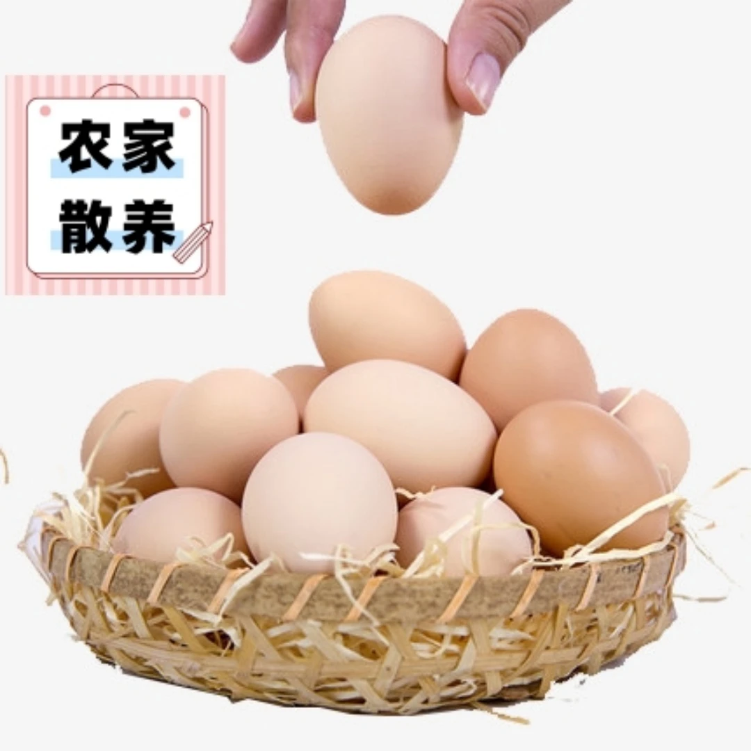 农村散养粮食喂养农村土鸡蛋营养农家土鸡蛋新鲜现捡现发散养鸡蛋