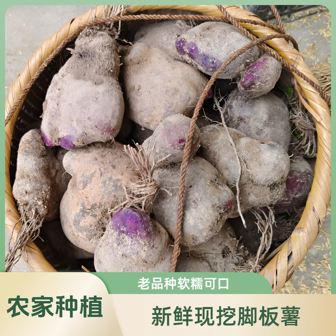 江西特产农家紫山药大脚板脚板薯大紫薯大薯紫色野生山药淮山蔬菜