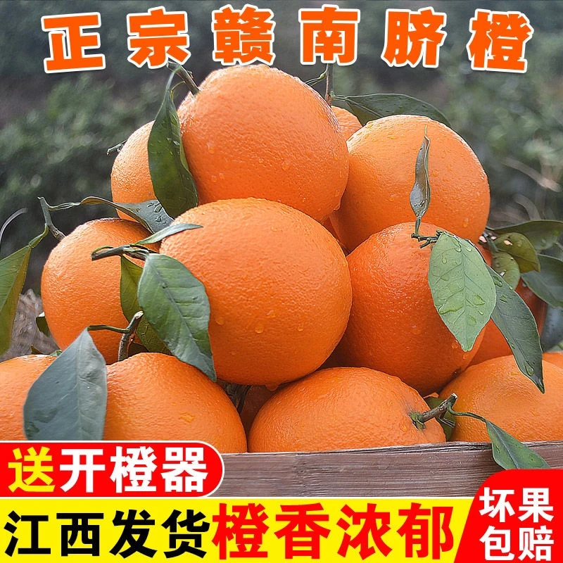 正宗江西赣南脐橙新鲜应季水果香甜橙子产地直发多汁爆甜脐橙赣州