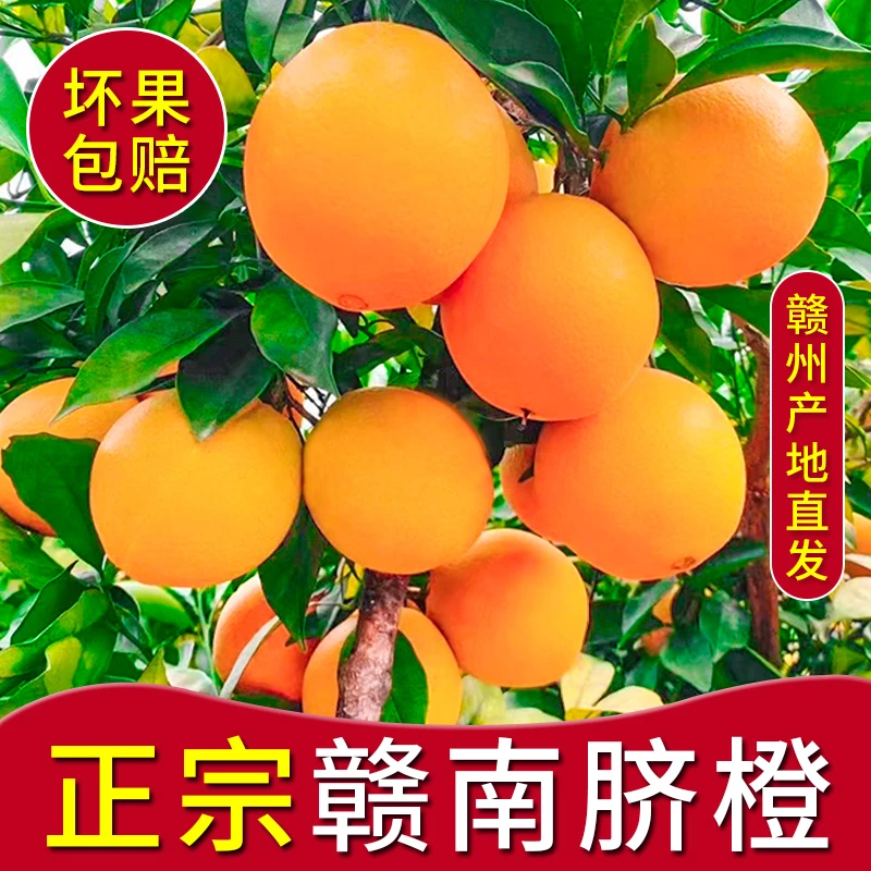 正宗江西赣州赣南爆甜脐橙新鲜应季水果香甜橙子产地现摘现发包邮