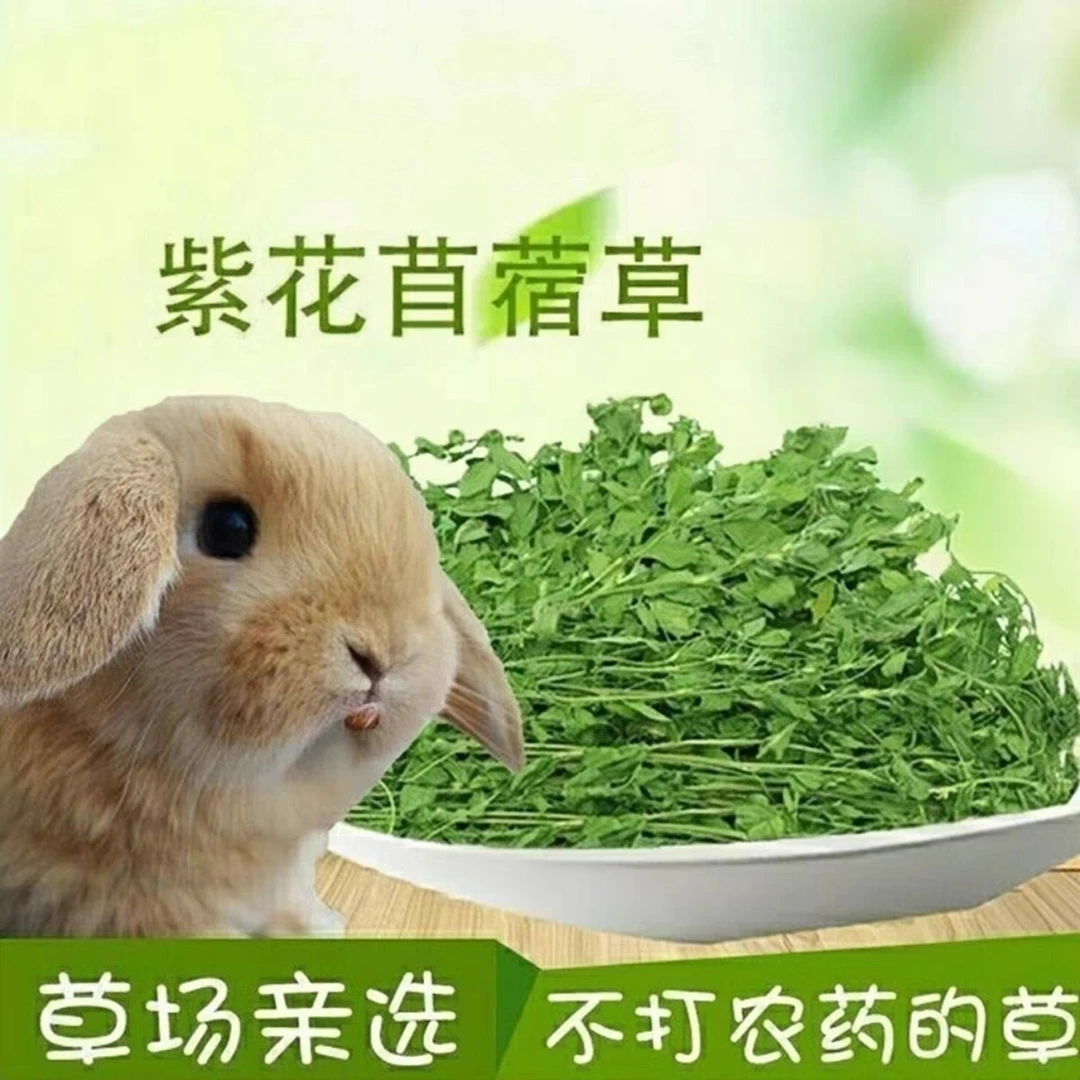 幼兔主草紫花苜蓿草草牧草干草苜蓿兔子草宠物兔粮食龙猫豚鼠主粮