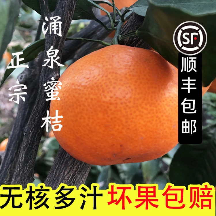 浙江临海蜜桔当季无核蜜橘非黄岩橘子新鲜水果5斤10斤临海桔子