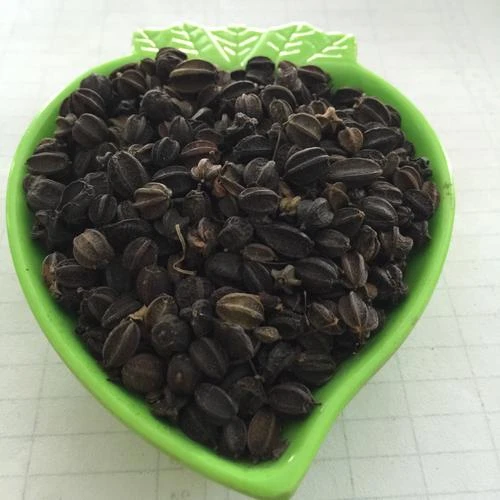 深山刺五加籽（半斤）包邮