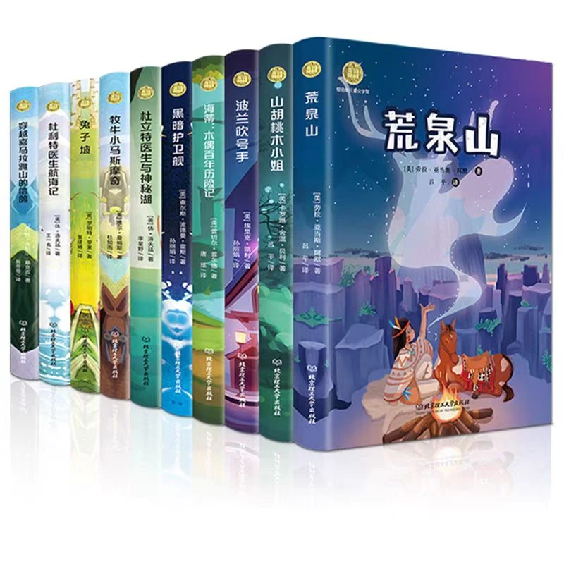 纽伯瑞国际儿童文学金奖小说 全套10册