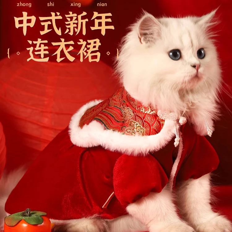 猫咪衣服秋冬保暖布偶喜庆小猫冬款冬天宠物冬季狗狗新年裙子