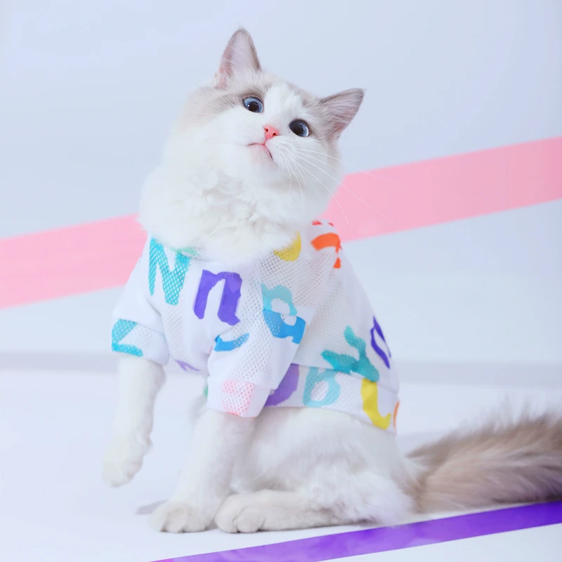 猫咪衣服防掉毛夏季轻薄背心英短布偶幼猫的夏天小猫宠物猫猫薄款