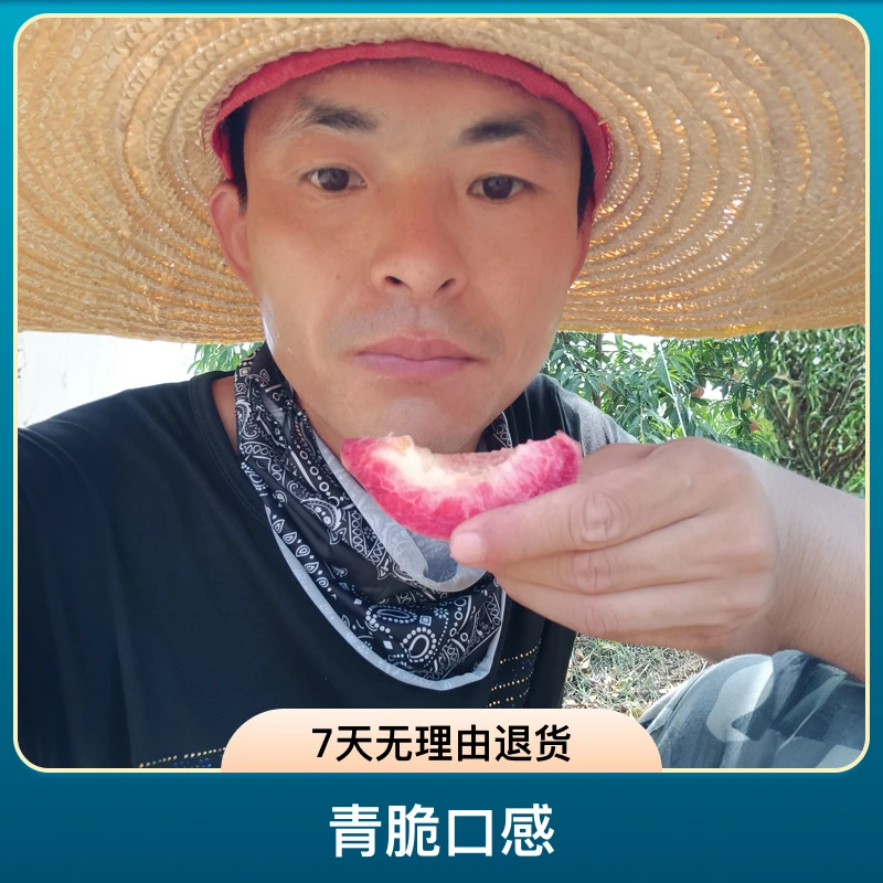 湖北农家自种血桃露天自然成熟青脆口感现采现发5斤包邮