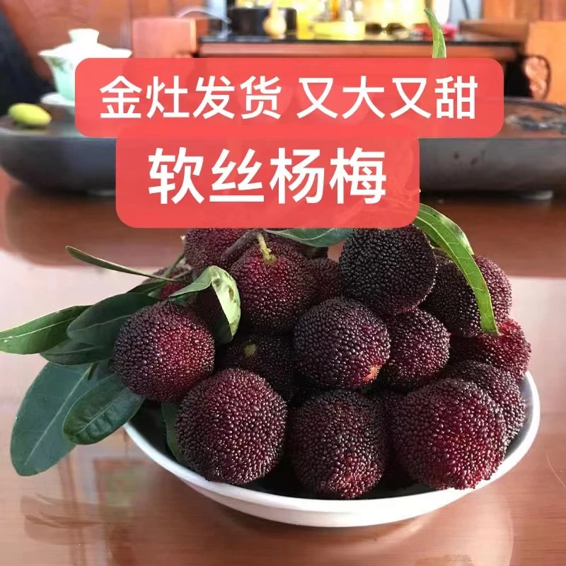 炭黑杨梅 又大又甜 2斤 4斤 装潮汕金灶顺丰快递