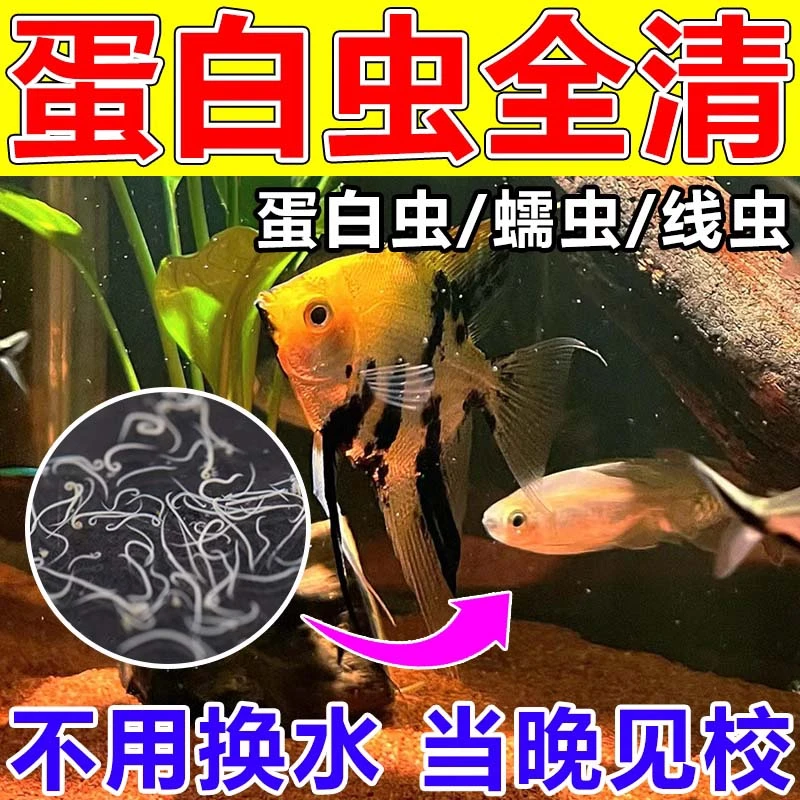 鱼缸除蛋白虫鱼池观赏鱼除寄生虫敌百虫水质专用体外寄生虫粉