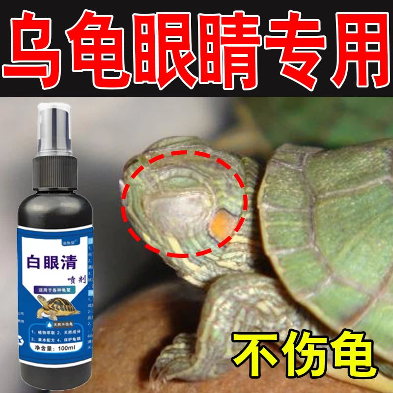 各种龟白眼蒙眼巴西草龟南石龟鼓包红肿小乌龟眼睛睁不开怎么办