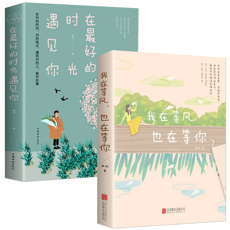 在Z好的时光遇见你我在等风也在等你一本洗涤心灵遇见爱情的书籍