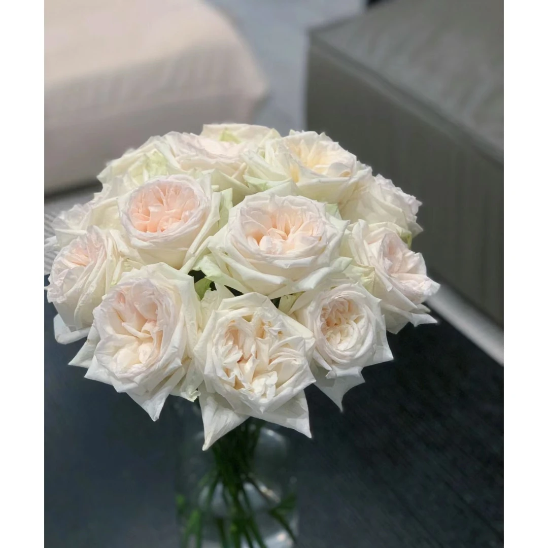 【如熙臻品】单头白荔枝---玫瑰（注意：特殊花材，收到带包装醒花！）