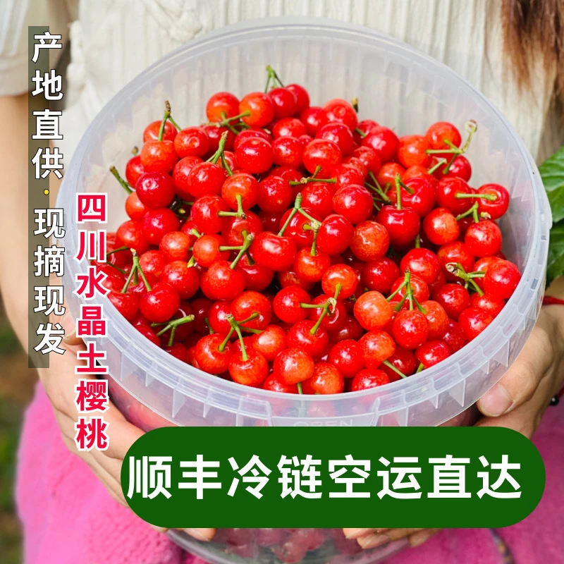 【顺丰空运】XL四川土恩桃老品种米易小樱桃0.5-3斤