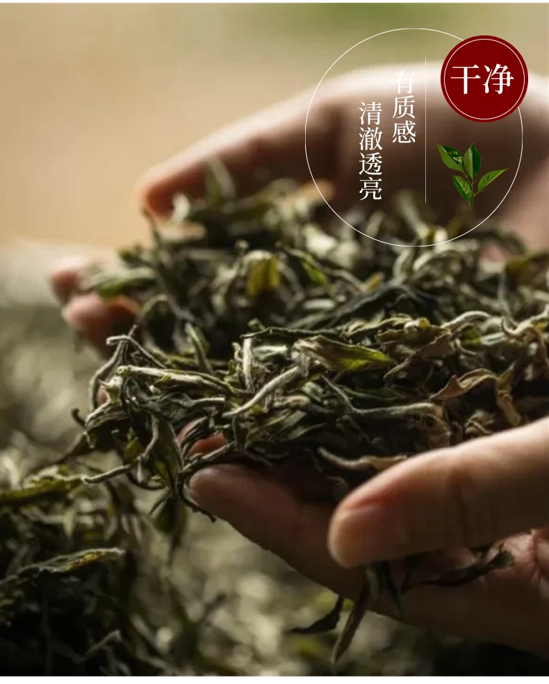 云深问客小户赛普洱茶生茶紧压茶