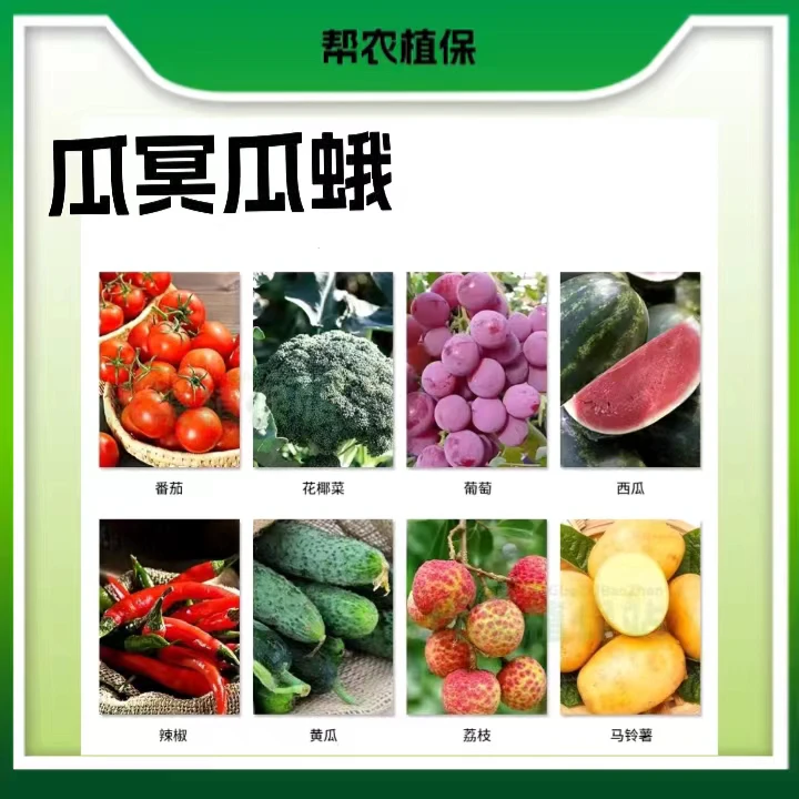 爱利可多套餐 瓜卷冥瓜蛾  一组300斤水
