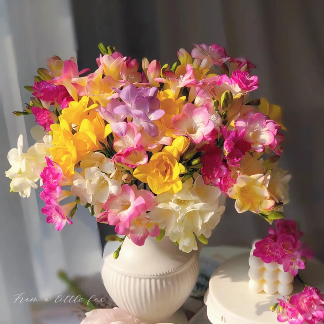 【香雪兰】任意2单发顺丰/京东 生鲜10%损耗不售后q