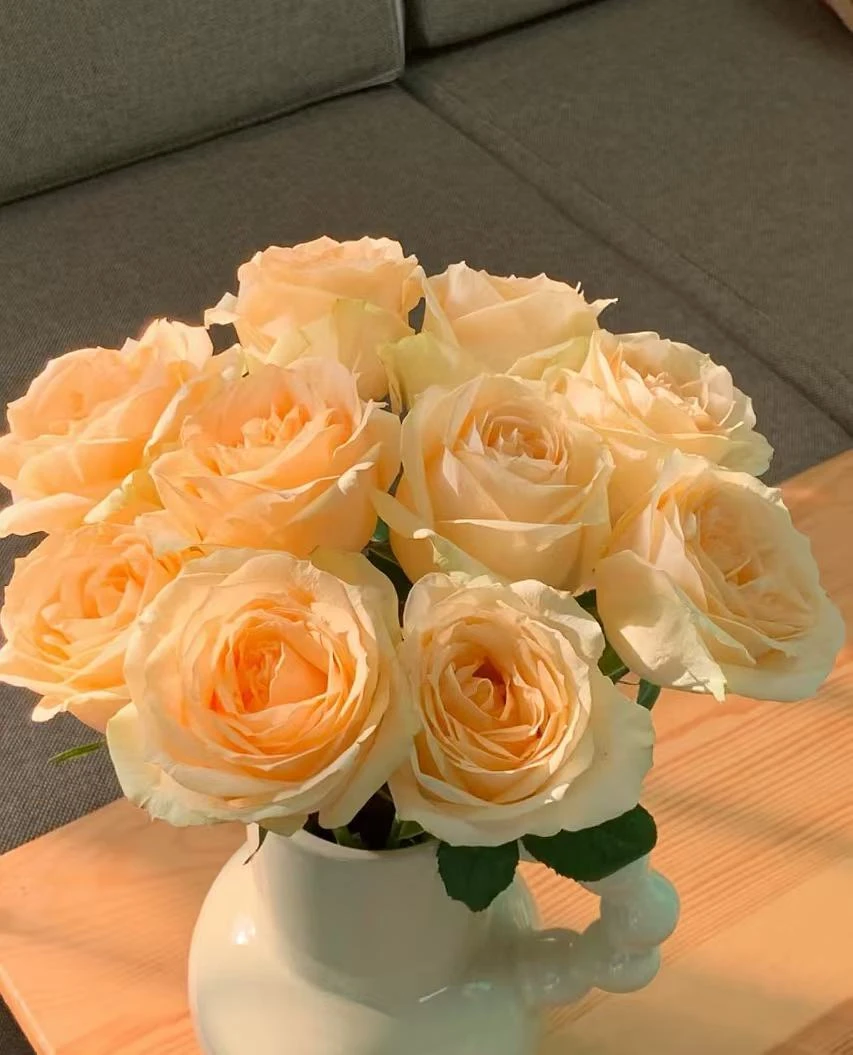 【蜜桃雪山单头玫瑰】任意2单鲜花包邮 发货后不支持退款