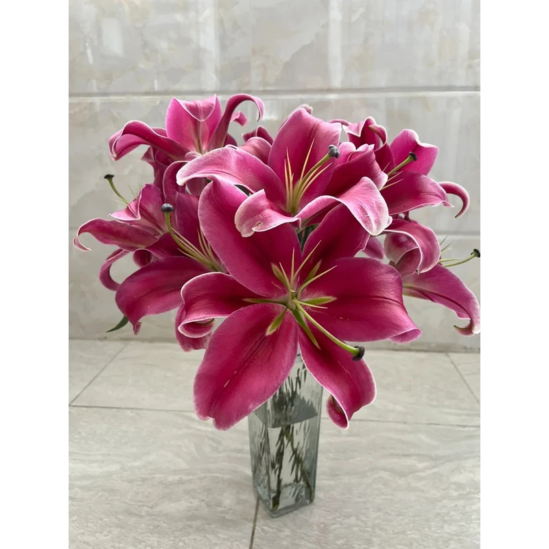 【中国红香水百合 】任意2单鲜花包邮 发货后不支持退款