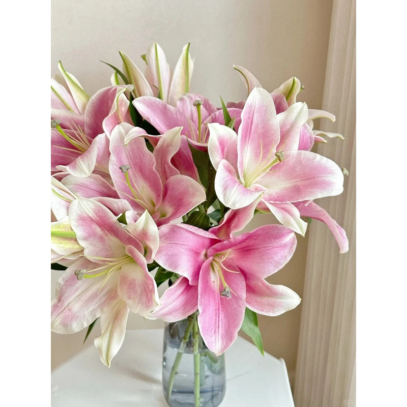 【护卫舰香水百合 】任意2单鲜花包邮 发货后不支持退款