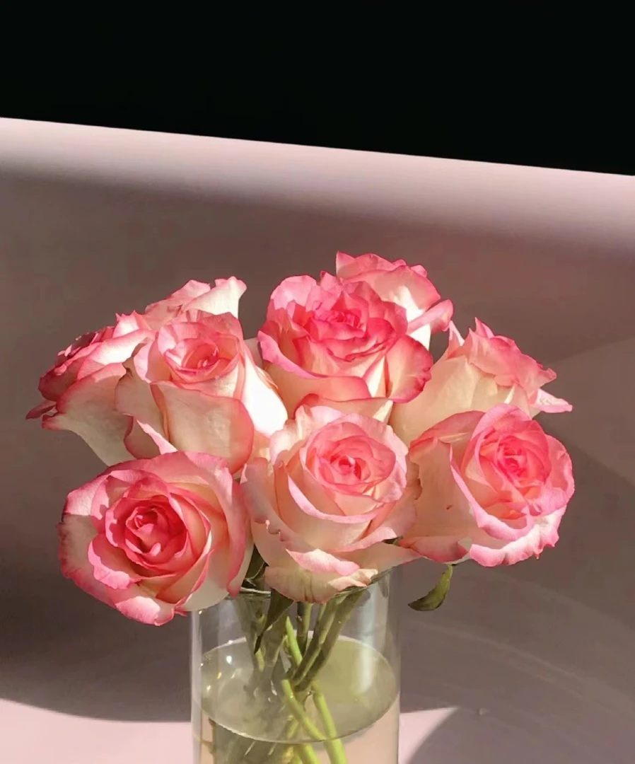 【艾莎玫瑰】全场任意2单鲜花顺丰或德邦快递鲜花拒收不售后