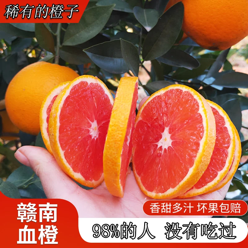 血橙江西赣南脐橙新鲜现摘中华红橙子应季水果爆汁送礼大果整箱