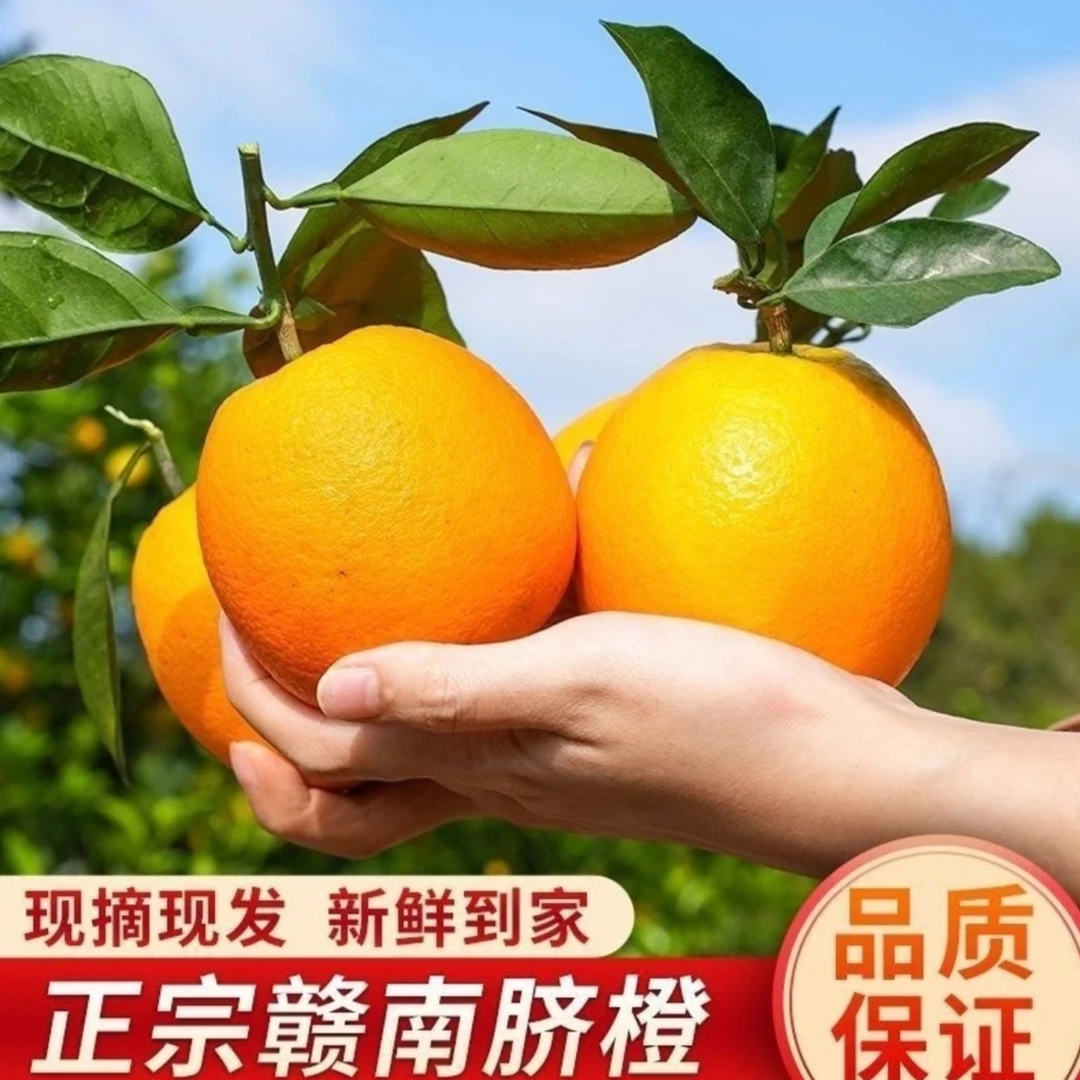 橙子正宗江西赣南脐橙新鲜现摘应季水果手剥橙送礼大果赣州橙子