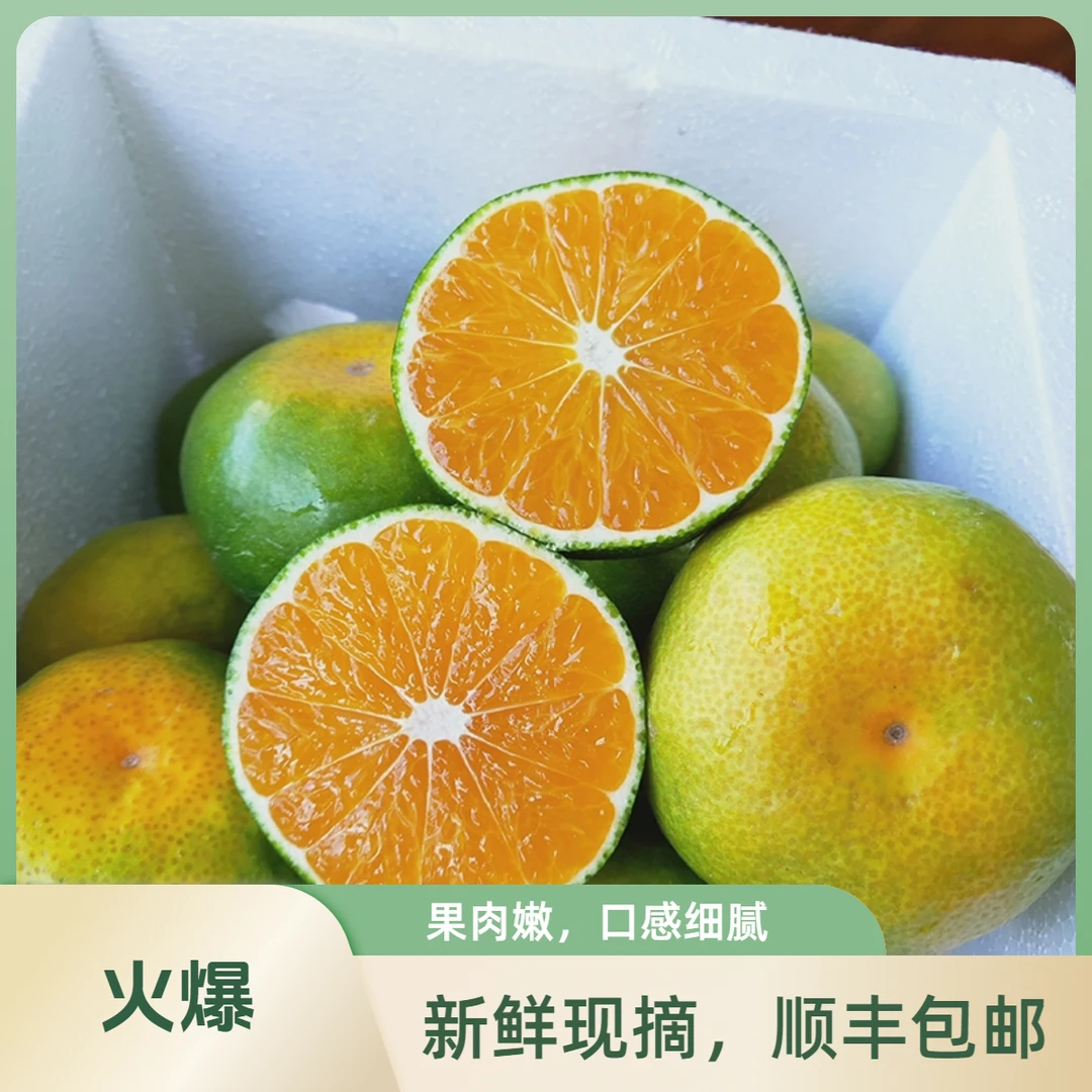 顺丰聚乐鲜寻乌青皮桔子现摘当季新鲜橘子采摘孕妇酸甜直供3斤5斤