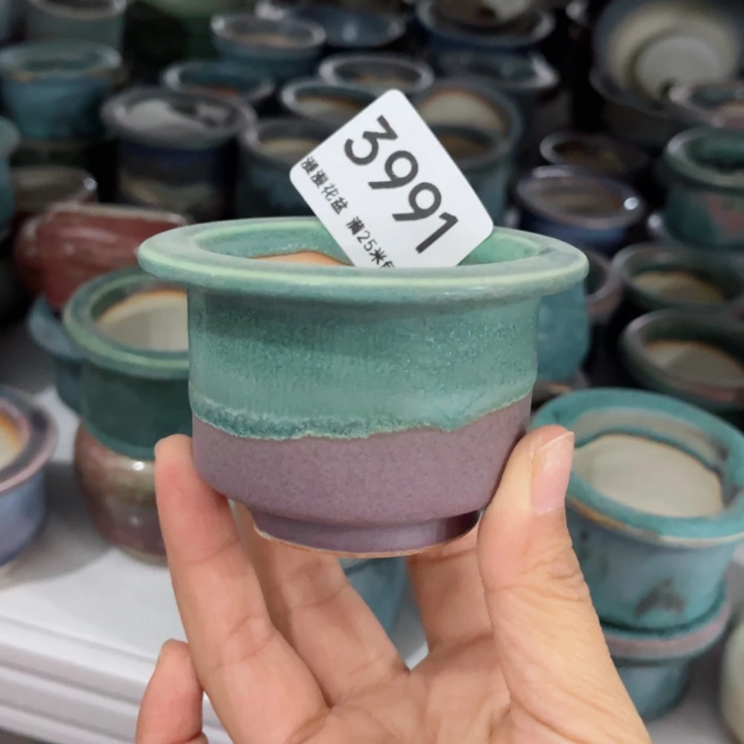 【闪购商品】瓷盆3991口6