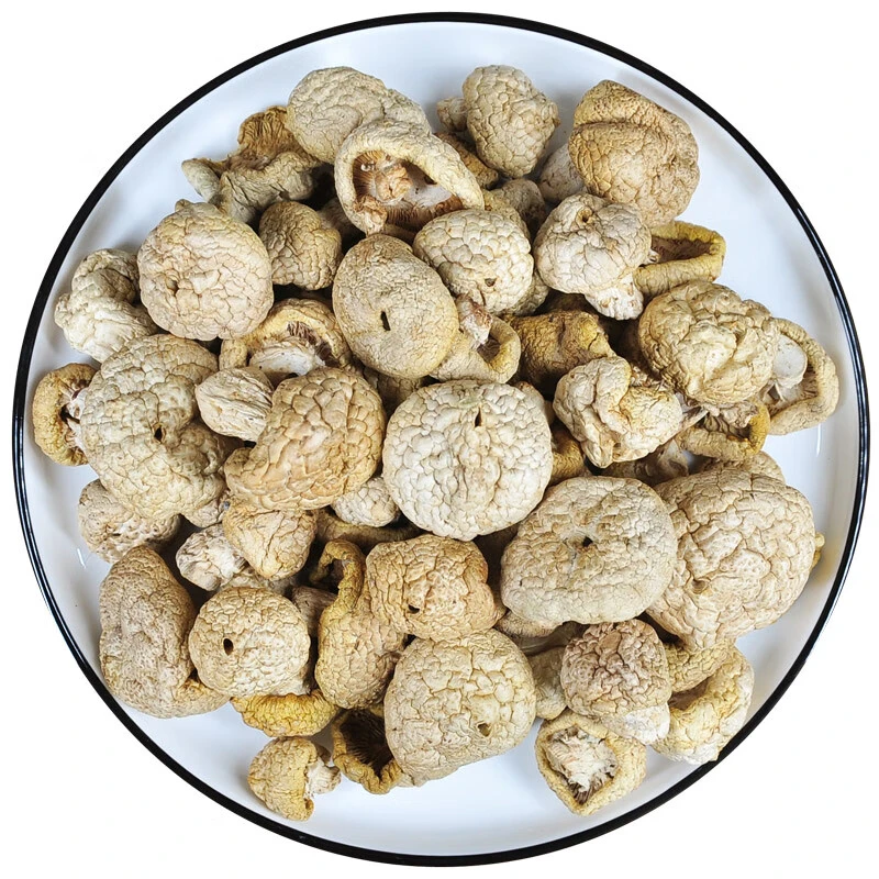 甘孜州石渠特产海拔4000米石渠白菌鲜美