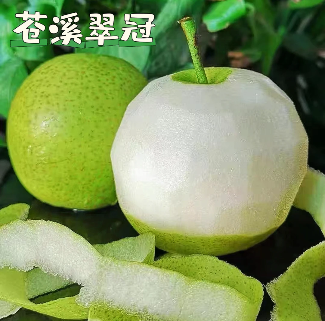 四川广元苍溪翠冠梨，甘甜可口，味美多汁