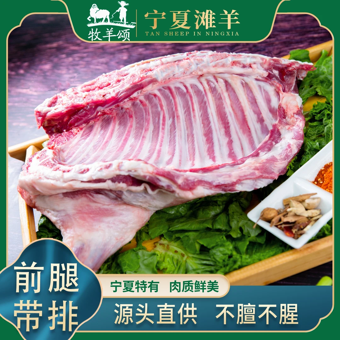 牧羊颂前腿带排宁夏滩羊/牧场散养/源头直供/现场分割/红烧羊肉