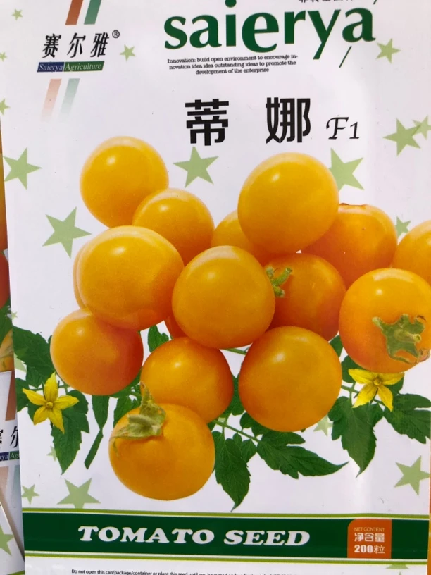 蒂娜柿子种子200粒