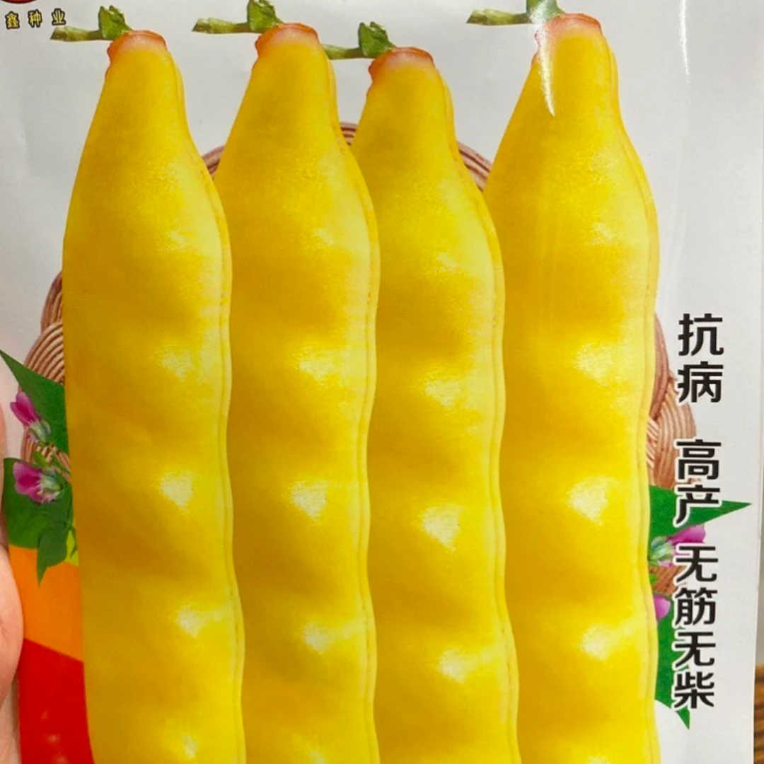 香蕉黄架豆角种子新老包装随机发货