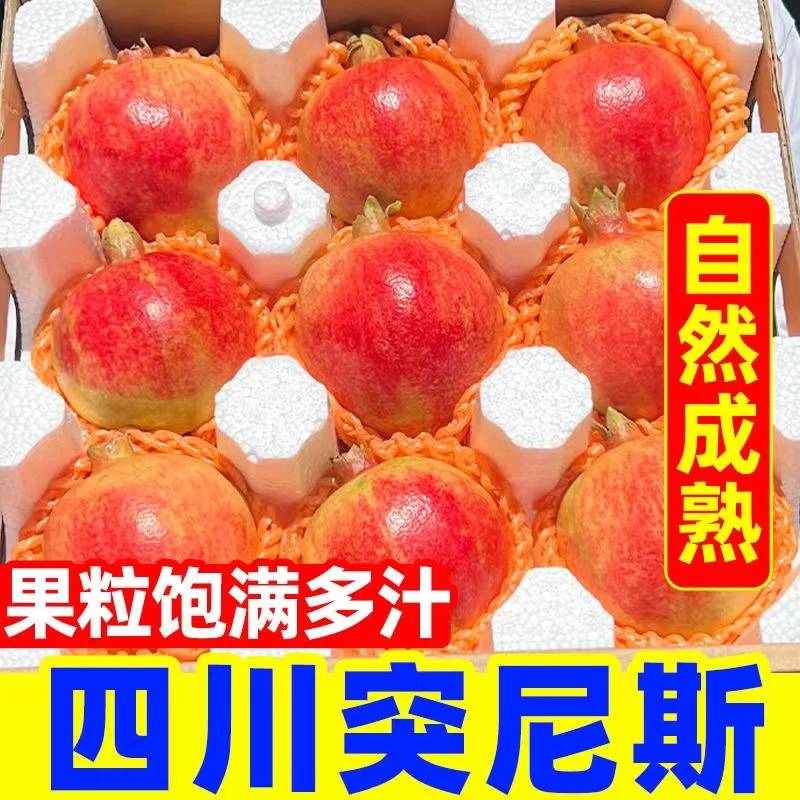 【坏果包赔】四川会理精品突尼斯软籽石榴孕妇新鲜当季水果