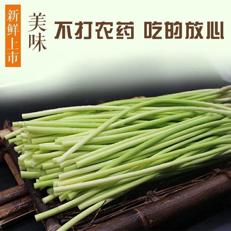 【地头价】新鲜蒜苔开封杞县特产农家自种5斤装