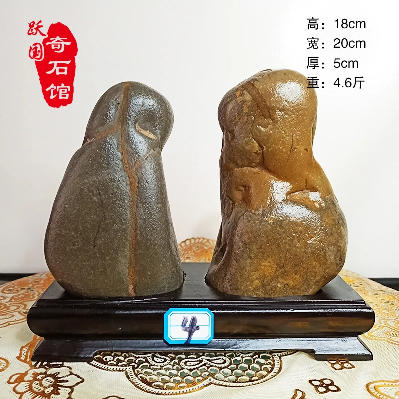 精品奇石！浮力多多