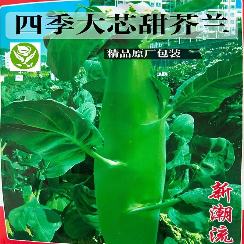 芥兰种子四季鸡腿大芯甜脆鲜嫩耐热耐寒生长菜园阳台盆栽蔬菜种子