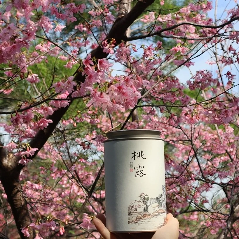 桃露丨林振文制作黄金桂   100克  乌龙香红茶韵 乌龙茶炭焙安溪