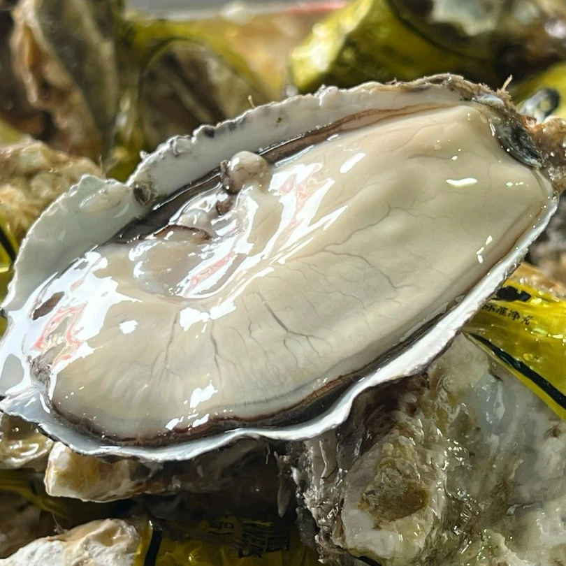 【爆品】3两生蚝 150g