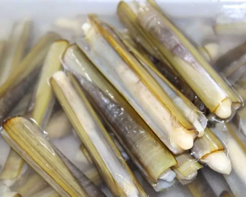 鲜活蛏子王/竹节蛏 500g