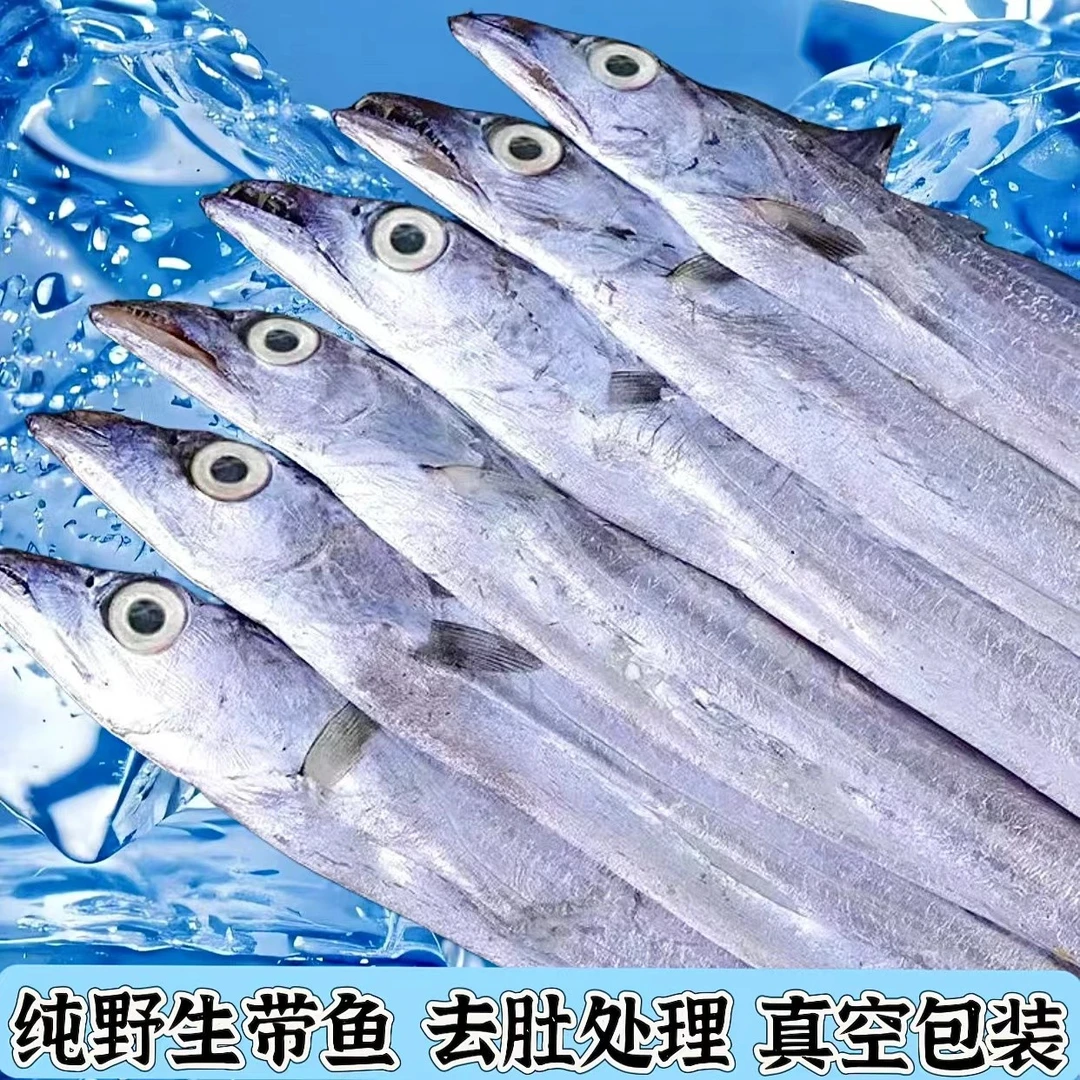 《粉丝福利》汕尾港 野生带鱼新鲜青章带鱼本港带鱼 带鱼中段特大