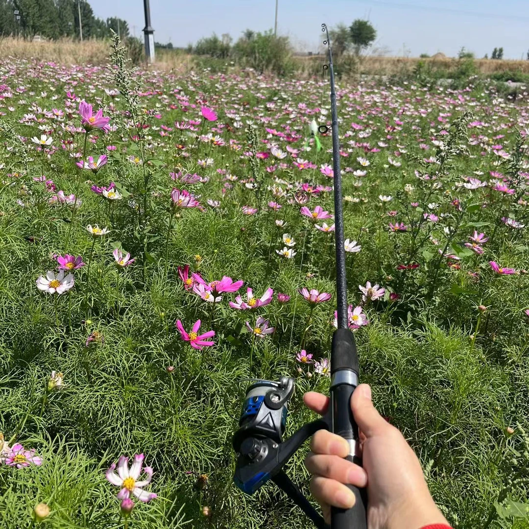 初学者入门直柄路亚钓鱼套装鱼竿