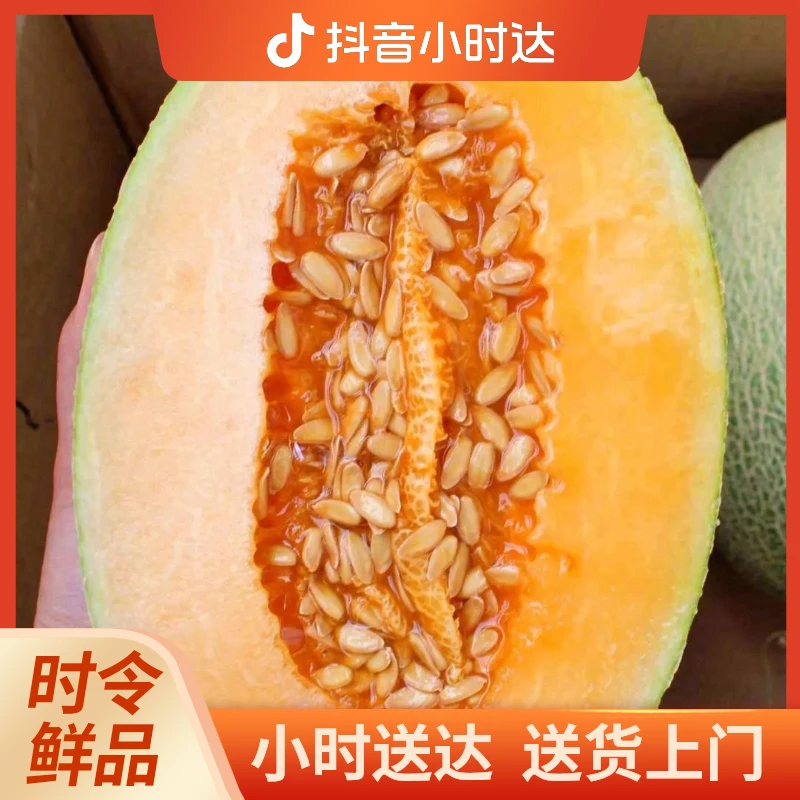 甜脆哈蜜瓜一个