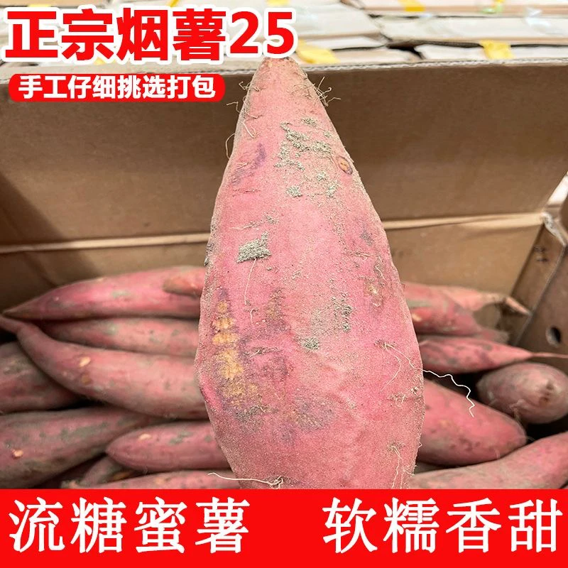 东北付家沙土地地瓜红薯蜜薯3斤包邮