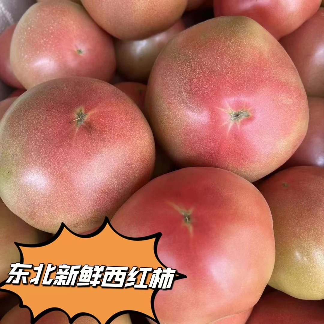 顺丰快递东北吉林梨树新鲜西红柿大洋柿子3斤包邮