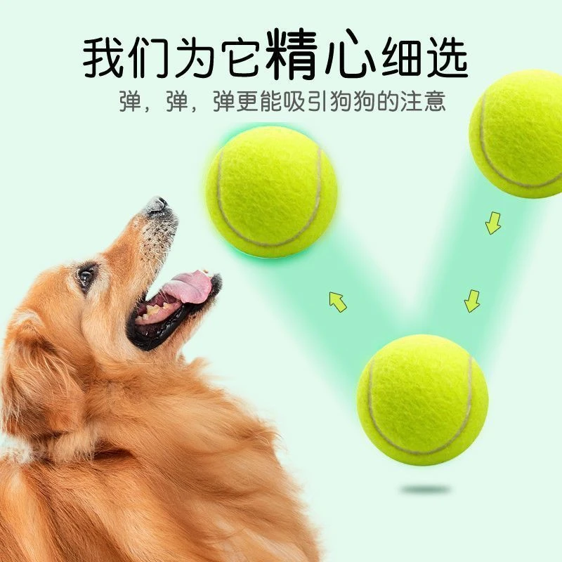 网球训练球初学者网球高弹力网球耐打宠物训练弹力球