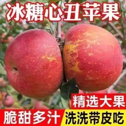 四川冰糖心丑苹果2024新鲜当季孕妇水果红富士正宗脆甜多汁整箱