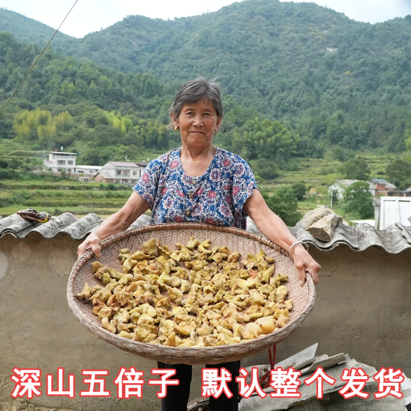 大别山野生五倍子肚倍自然晒干百虫仓2024农家新货